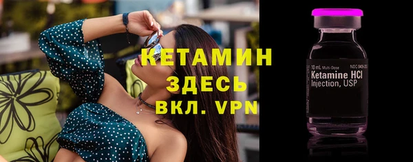 прущие грибы Каменка