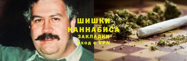 прущие грибы Каменка