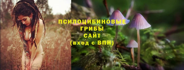 прущие грибы Каменка