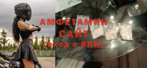 прущие грибы Каменка
