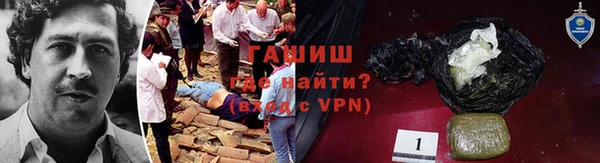 прущие грибы Каменка