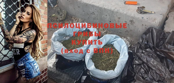прущие грибы Каменка