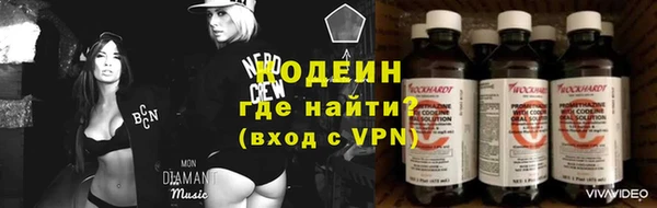 хмурый Каменногорск