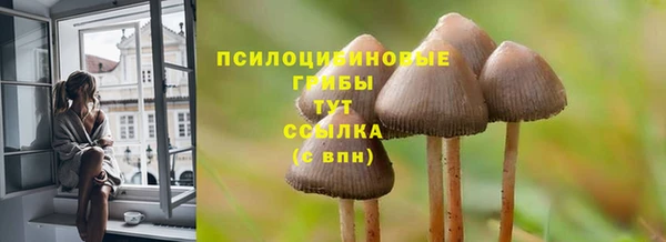 прущие грибы Каменка