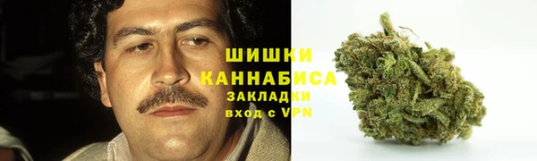 молекула духа Каменск-Шахтинский