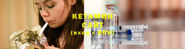 прущие грибы Каменка