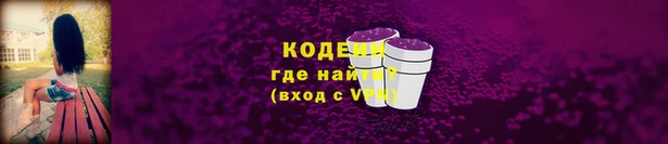 молекула духа Каменск-Шахтинский