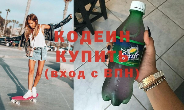 прущие грибы Каменка
