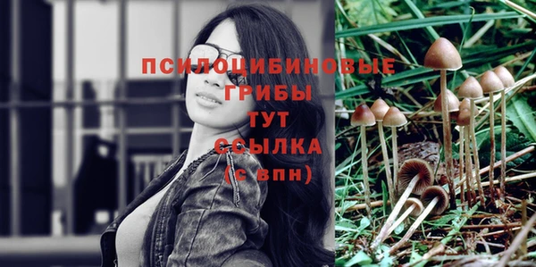 прущие грибы Каменка