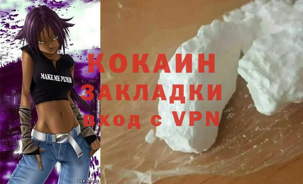 прущие грибы Каменка