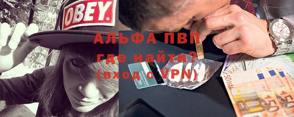 хмурый Каменногорск