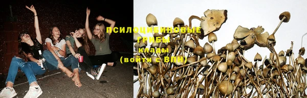 хмурый Каменногорск