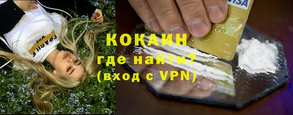 прущие грибы Каменка