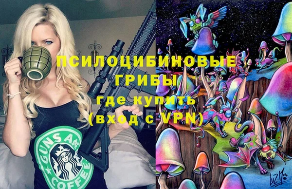 молекула духа Каменск-Шахтинский