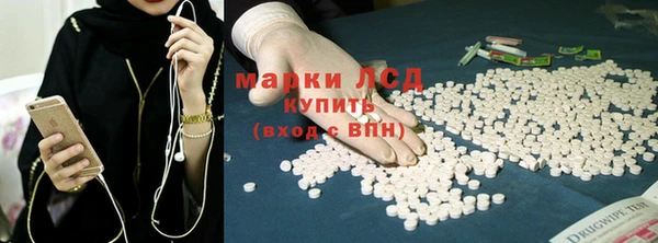 хмурый Каменногорск