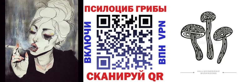 Галлюциногенные грибы MAGIC MUSHROOMS  Купить закладки  Заозёрный 