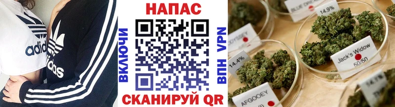 Купить закладки  Заозёрный  Шишки марихуана Ganja 